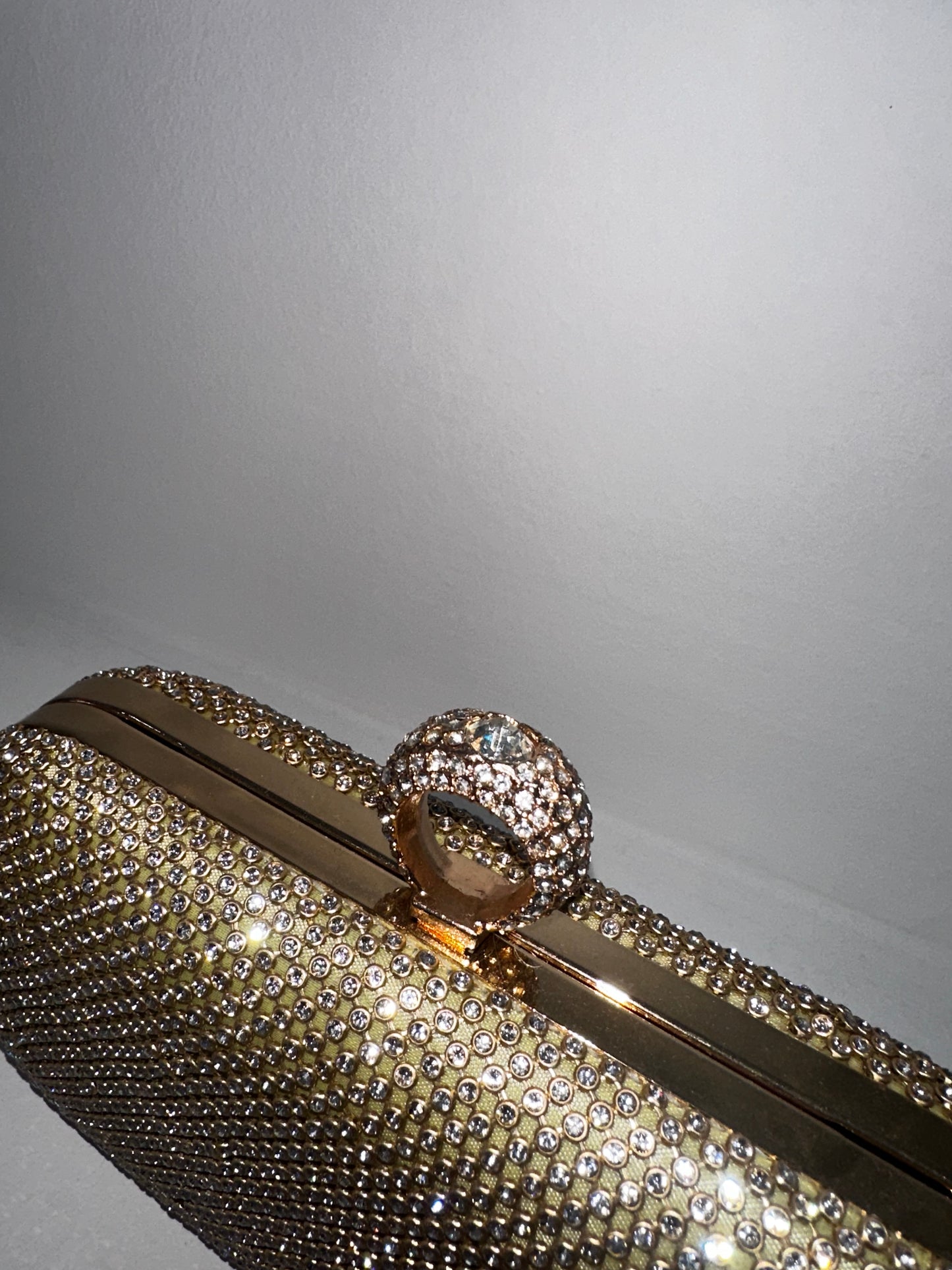 Borsa con anello